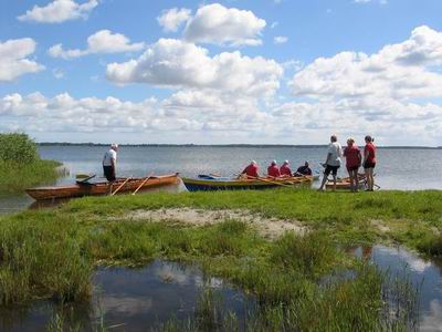 Rudern auf der Schlei